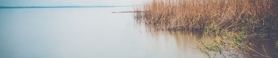 Qui est vraiment éveillé?